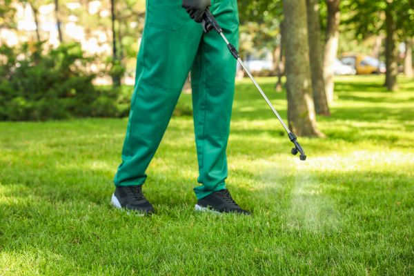 Austin Lawn Treatment