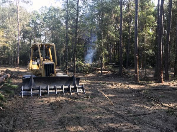 Austin Land Clearing