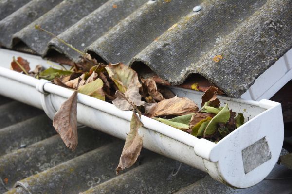 Austin Gutter Cleaning